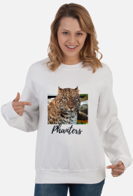 Bluza damska klasyczna