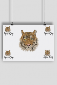 Plakat A1 Tygrys