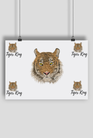 Plakat A1 Tygrys