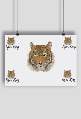 Plakat A1 Tygrys