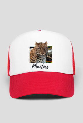 Czapka z Daszkiem typu TRUCKER