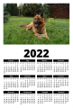 Król Ogródka (2022 kalendarz A1)