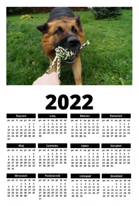 Ozzi (A1 kalendarz 2022)