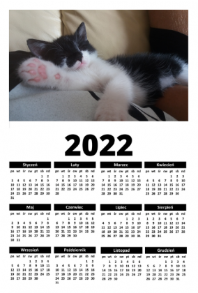 Kocurek Diluś (A1 kalendarz 2022)