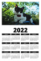 Kocurek Diler (A1 kalendarz 2022)