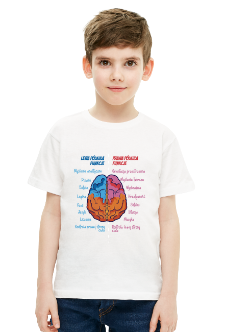 Anatomia mózgu w pastelowych kolorach