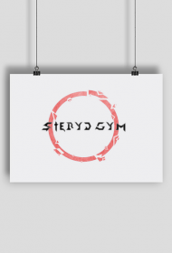 PLAKAT STEYDGYM v1.0