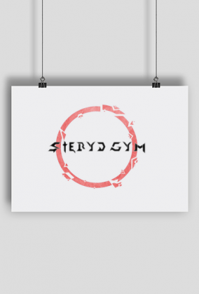 PLAKAT STEYDGYM v1.0