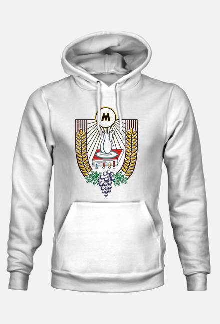 bluza