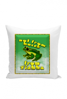 From Źiabka | Poduszka