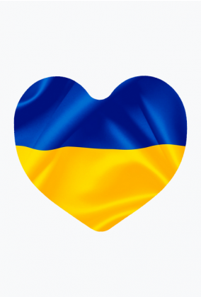 Ukraina magnes na lodówkę Flaga Ukrainy