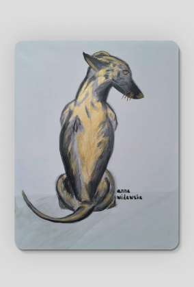 Chart Angielski Whippet - Ryunek własnoręczny