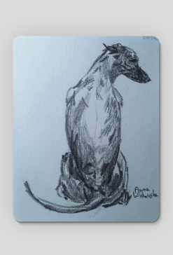 Chart Angielski Whippet - Ryunek własnoręczny