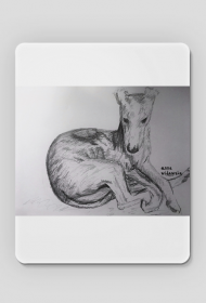 Chart Angielski Whippet - Ryunek własnoręczny