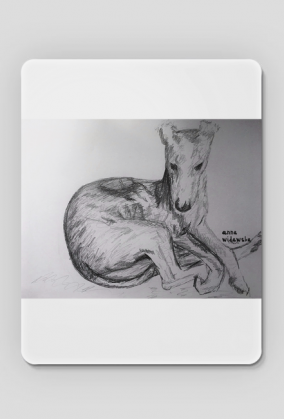 Chart Angielski Whippet - Ryunek własnoręczny