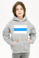 White Blue White Free Russian Flag