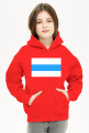 White Blue White Free Russian Flag