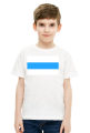 White Blue White Free Russia Flag
