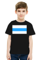 White Blue White Free Russia Flag