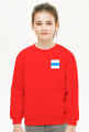 White Blue White Free Russia Flag, small