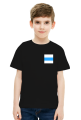 White Blue White Free Russia Flag, small