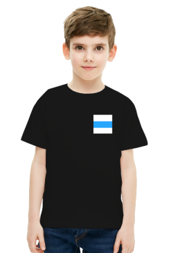 White Blue White Free Russia Flag, small
