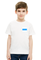 White Blue White Free Russia Flag, small