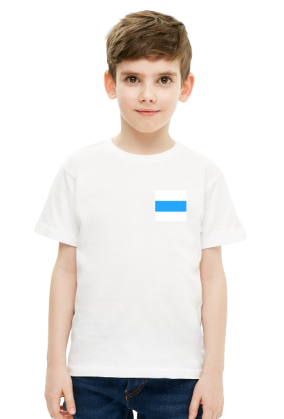 White Blue White Free Russia Flag, small