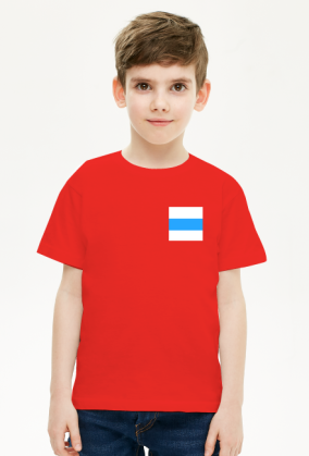 White Blue White Free Russia Flag, small