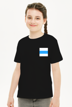 White Blue White Free Russia Flag, small