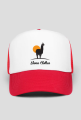 Llama clothes