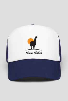 Llama clothes
