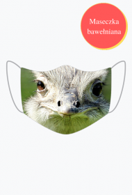 STRUŚ