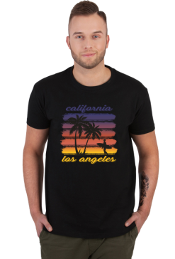 CALIFORNIA