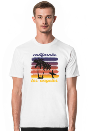 CALIFORNIA