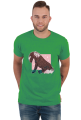 Hanami Star Stable