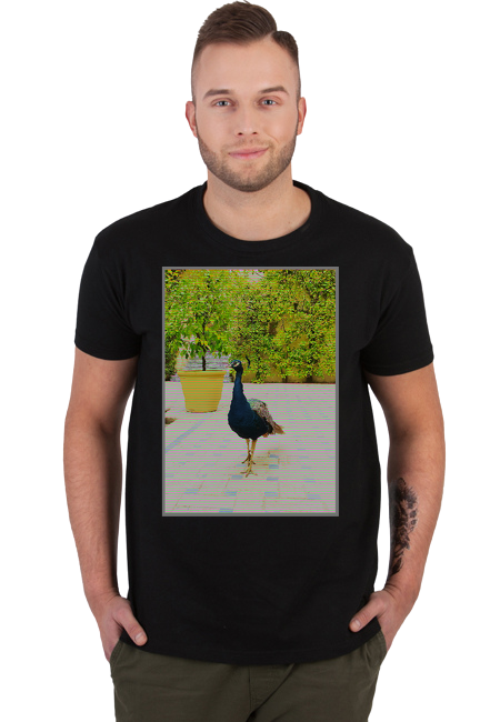 T-Shirt z nadrukiem Kolorowy ptak