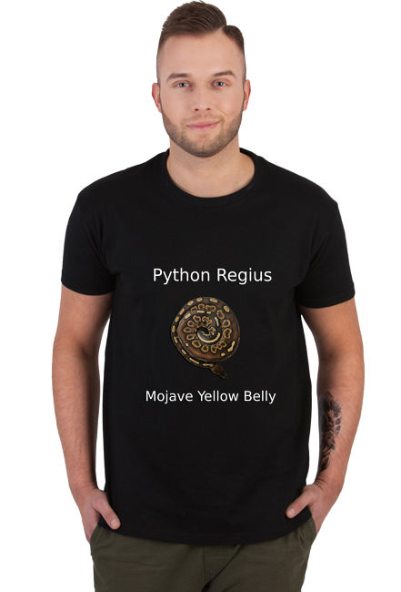 Pyton królewski Python Regius Mojave YB