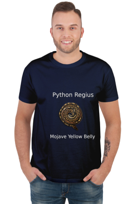 Pyton królewski Python Regius Mojave YB