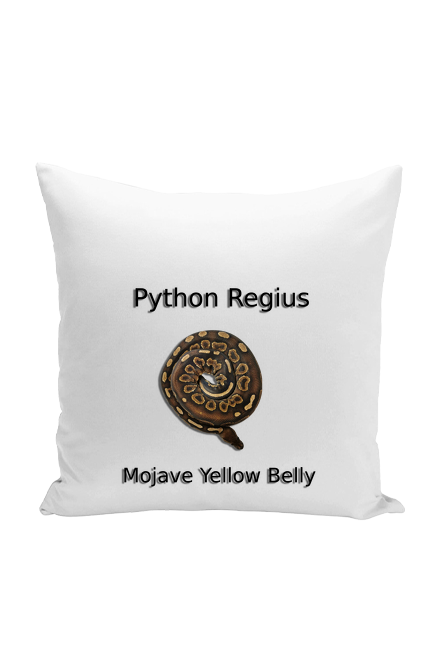 Pyton królewski Python Regius Mojave YB