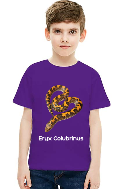Eryx Colubrinus