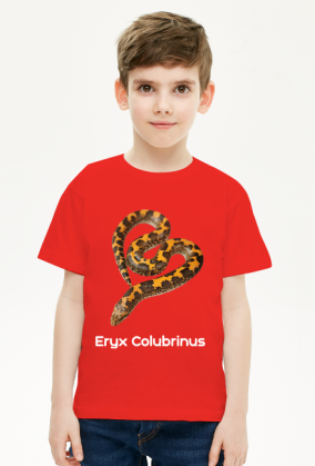 Eryx Colubrinus