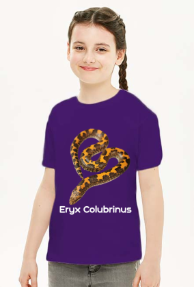 Eryx Colubrinus