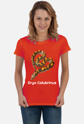 Eryx Colubrinus