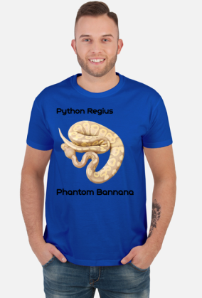 Pyton królewski Python Regius Phantom Bannana