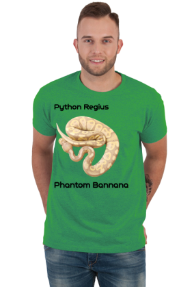 Pyton królewski Python Regius Phantom Bannana