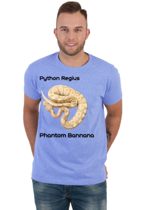 Pyton królewski Python Regius Phantom Bannana