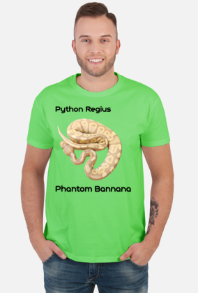 Pyton królewski Python Regius Phantom Bannana