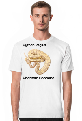 Pyton królewski Python Regius Phantom Bannana