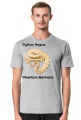 Pyton królewski Python Regius Phantom Bannana